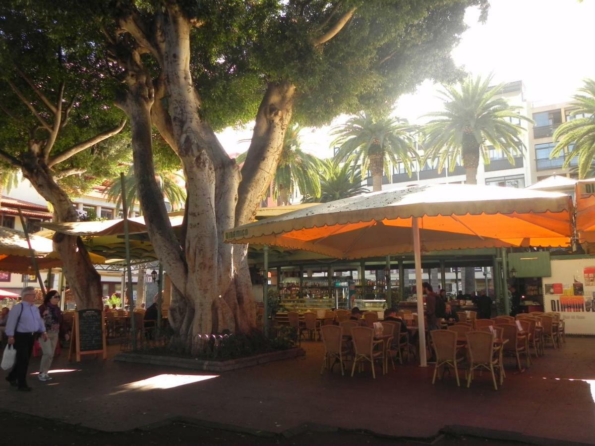 Ferienwohnung The Fishing Harbour Puerto De La Cruz Exterior foto